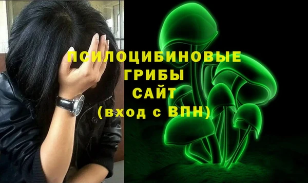 сатива Волосово